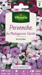 Pervenche de Madagascar en Mélange